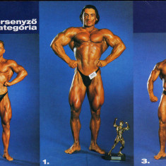 Estók Endre
